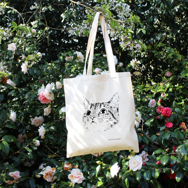 Cat Bag Rose bush 2